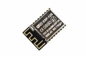 ESP-12S Wifi Module (ESP8266)