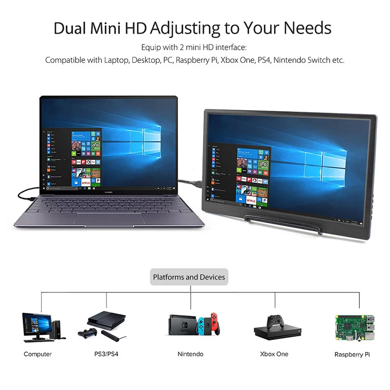 IPS monitor support dual Mini HDMI